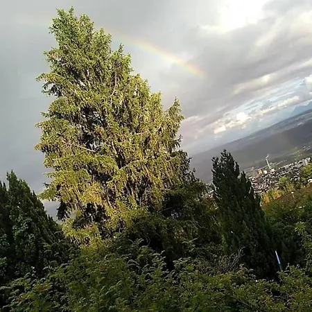 Garden - View Of Nature Pansiyon Evilard
